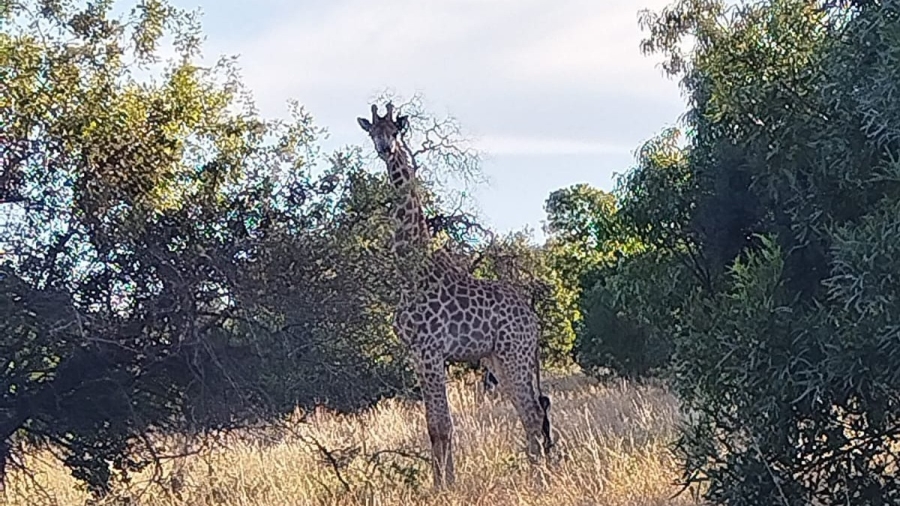 0 Bedroom Property for Sale in Rustenburg Rural North West
